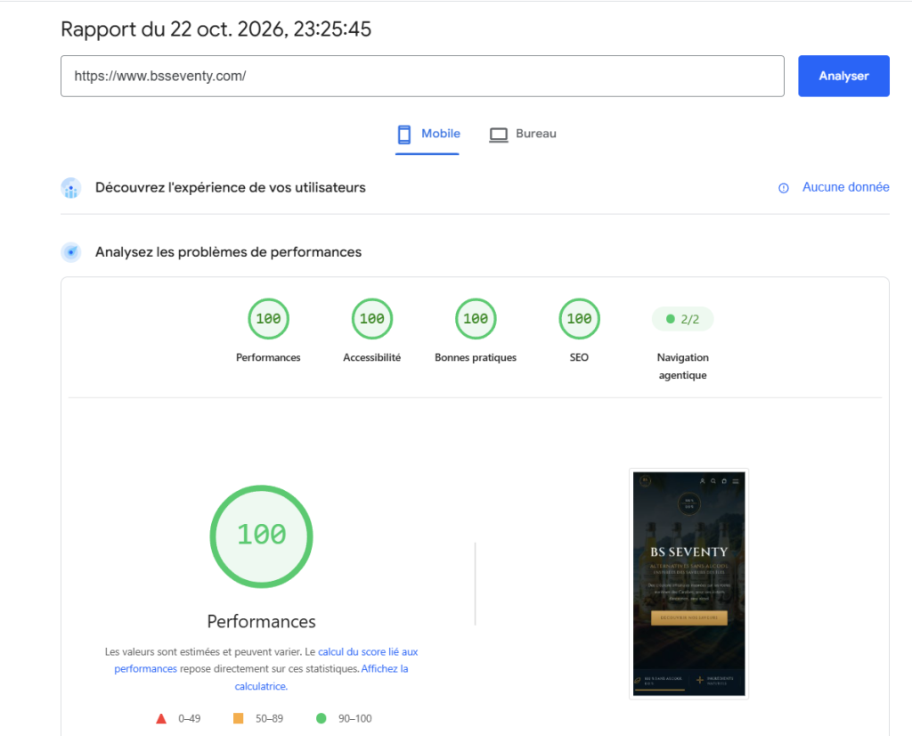 performance PageSpeed Insights BS Seventy version mobile