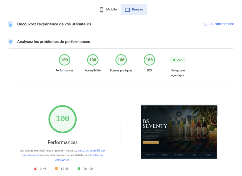 performance PageSpeed Insights BS Seventy